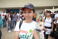 Martes 29 de mayo del 2012. Tuxtla Gutiérrez, Chiapas. Infiltrados y desmanes de jóvenes ajenos al movimiento #132 este medio día en la capital del estado.