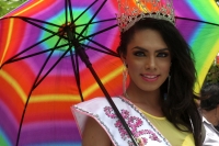 Sábado 28 de junio del 2014. Tuxtla Gutiérrez. La comunidad Lésbico, Gay Bi y Transexual, Travesti de Chiapas marcha por la avenida central exigiendo igualdad, respeto y libertada en este estado del sureste de México.