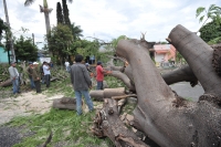 Foto/AEG. Jueves 22 de mayo del 2014. Tuxtla Gutiérrez. La intensa lluvia de esta tarde afecta calles y vialidades de la capital del estado de Chiapas.