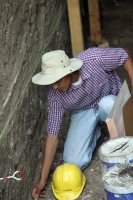 El arqueólogo Bruce Bachand realiza los últimos trabajos del Montículo 11 de Chiapa de Corzo donde fuera encontrado un milenario entierro en lo que fuera un centro ceremonial astronómico en el complejo prehispánico de este lugar.   Los curiosos comentan e