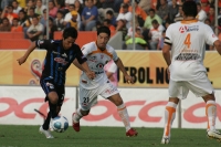 JAGUARES-GALLOS BLANCOS