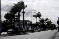 Camacho/ Imágenes del fuerte ventarrón de esta tarde en la ciudad.