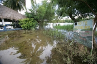 Jueves 9 de septiembre. Pobladores de la cabecera municipal de Villa de Acala, observan con temor la creciente del río Grijalva ante el incremento del caudal por el desfogue de la presa La Angostura.