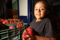 Viernes 8 de julio. Un niño de escasos 6 años de edad juega y se divierte con la lente fotográfica mientras que sus padres se dedican a la distribución del fruto del Rambután en la Central de Abastos de la ciudad de Tuxtla Gutiérrez. Este fruto es sembrad
