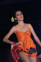 Martes 5 de abril. El diseñador chiapaneco Abel Martínez presenta su colección Primavera-Verano 2011 en conocido hotel del poniente de esta ciudad.