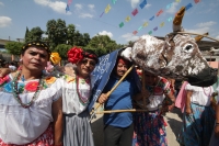Lunes 2 de febrero del 2014. Villa de Acala. Las calles y avenidas de esta comunidad ribereña se llena de danzantes quienes realizan representaciones de personajes populares durante las celebraciones de los festejos de la Candelaria.