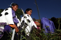 Lunes 22 de diciembre del 2014. San Pedro Chenalho. Al cumplirse 17 años de la masacre de 45 indígenas tsotsiles en la comunidad Acteal en la Zona Altos de Chiapas, estudiantes de ayotzinapa realizan una representación de los muertos por la represión soci