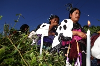 Lunes 22 de diciembre del 2014. San Pedro Chenalho. Al cumplirse 17 años de la masacre de 45 indígenas tsotsiles en la comunidad Acteal en la Zona Altos de Chiapas, estudiantes de ayotzinapa realizan una representación de los muertos por la represión soci
