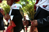 20230806. Tuxtla. El simbolismo y  la ritualidad se encuentran presente en cada celebraciÃ³n del ciclo festivo tradicional de la comunidad originaria Zoque. Esta maÃ±ana en la procesiÃ³n de las vÃ­rgenes hacia La Reserva La Laguna en Tuxtla GutiÃ©rrez.