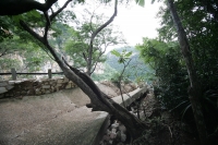 El centro ecoturístico El Aguacero en el municipio de Ocosocuautla ha sufrido intensas lluvias lo que ha ocasionado daños en su infraestructura, perdiéndose entre el alude rocas, el mirador principal, el bloque de la gruta y la perdida del puente principa