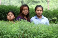 Martes 8 de julio del 2014. Villaflores. Día del árbol mexicano. Los niños del ejido El Portillo celebran este día el día del árbol en un recorrido por el vivero donde se reproduce y reforesta el rio Guaymas con árboles de Sabino o Ahuehuete, también cono