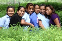 Martes 8 de julio del 2014. Villaflores. DÃa del árbol mexicano. Los niños del ejido El Portillo celebran este dÃa el dÃa del árbol en un recorrido por el vivero donde se reproduce y reforesta el rio Guaymas con árboles de Sabino o Ahuehuete, también cono Martes 8 de julio del 2014. Villaflores. DÃa del árbol mexicano. Los niños del ejido El Portillo celebran este dÃa el dÃa del árbol en un recorrido por el vivero donde se reproduce y reforesta el rio Guaymas con árboles de Sabino o Ahuehuete, también cono