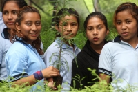 Martes 8 de julio del 2014. Villaflores. Día del árbol mexicano. Los niños del ejido El Portillo celebran este día el día del árbol en un recorrido por el vivero donde se reproduce y reforesta el rio Guaymas con árboles de Sabino o Ahuehuete, también cono