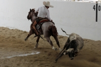 Octubre del 2016. Tuxtla Gutiérrez. El ambiente del trabajo campirano durante el Torneo Nacional Charro que se lleva a cabo en el foro Chiapas.