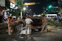 20210326. Tuxtla G. Un árbol cae sobre un vehÃculo en el cruce de la Avenida y Calle central en la capital del estado de Chiapas 20210326. Tuxtla G. Un árbol cae sobre un vehÃculo en el cruce de la Avenida y Calle central en la capital del estado de Chiapas