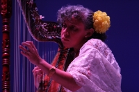 Martes 18 de agosto del 2015. Tuxtla Gutiérrez. La concertista Cristina Cabrera durante el concierto didáctico previo al Encuentro de Arpas Indígenas y Afroamericanas que organiza la Comisión Nacional para el Desarrollo de los Pueblos Indígenas y la Unive