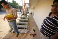 La sangre derramada por la herida de una bala 45mm en el tobillo de una persona permanece aún en la entrada de una plaza comercial de la colonia Moctezuma después de que un vehiculo fuera interceptado por varios asaltantes esta tarde en Tuxtla Gutiérrez.