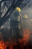 Martes 20 de diciembre del 2016. Tuxtla Gutiérrez. Varios vehículos fueron incendiados esta mañana durante el atentado a las instalaciones de la Secretaria de Educación de Chiapas sin que a la hora se tengan informes de quien ocasionara el siniestro.
