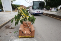 Viernes 8 de julio. Un monumento a la precaución fue elaborado por los vecinos del Teatro de la Ciudad los cales colocaron un viejo sillón y ramas de árboles con una cinta de Protección Civil para dar aviso a los vehículos que en la cinta asfáltica recién