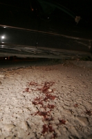 Una persecución termina en enfrentamiento a balazos entre varios sujetos, datos extraoficiales reportan 2 personas heridas que fueron trasladados en una camioneta de lujo, esta tarde en el callejón 98 en la col Maya y Las Delicias.
