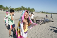 Una cría de ballena fue encontrada de manera inusual en las playas de Puerto Arista, en la costa chiapaneca en días pasados.  Los especialistas del Campamento Tortuguero entierran el cadáver del cetáceo para su posterior estudio y conservación debido a qu