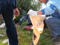 San Cristóbal / Peritos de la Procuraduría de Justicia Zona Altos recibieron la denuncia de que varios perros estaban comiendo el cuerpo de un recién nacido el cual fue abandonado en las cercanías de un lote baldío en le barrio de San Ramón en la ciudad d