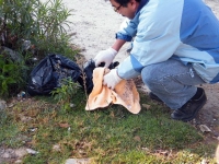 San Cristóbal / Peritos de la Procuraduría de Justicia Zona Altos recibieron la denuncia de que varios perros estaban comiendo el cuerpo de un recién nacido el cual fue abandonado en las cercanías de un lote baldío en le barrio de San Ramón en la ciudad d