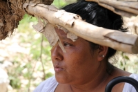 Jueves 7 de septiembre del 2017. Venustiano Carranza, Chiapas. Una persona logra sobrevivir después de ser arrastrado por el agua sujetándose a un tronco durante las afectaciones de las lluvias de los últimos dí­as en esta comunidad ubicada en la cerca