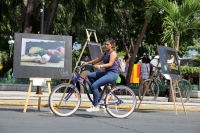 Domingo 12 de noviembre del 2017. Tuxtla Gutiérrez. Una mañana en la expo de fotografí­as de los alumnos de la Unach expuesta esta mañana en el Parque de la Marimba.