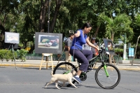 Domingo 12 de noviembre del 2017. Tuxtla Gutiérrez. Una mañana en la expo de fotografí­as de los alumnos de la Unach expuesta esta mañana en el Parque de la Marimba.