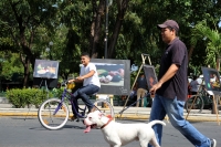 Domingo 12 de noviembre del 2017. Tuxtla Gutiérrez. Una mañana en la expo de fotografí­as de los alumnos de la Unach expuesta esta mañana en el Parque de la Marimba.