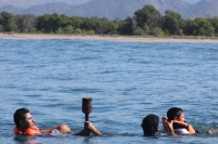 11 de diciembre. Peregrinos nadan en las costas chiapanecas. 11 de diciembre. Peregrinos nadan en las costas chiapanecas.
