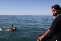11 de diciembre. Peregrinos nadan en las costas chiapanecas.