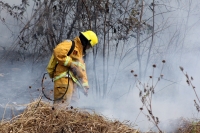 Viernes 27 de diciembre del 2013. Bomberos de la SSyCP durante las actividades de control de un incendio de un pastizal en las cercanías del Libramiento Norte y Calzada al Sumidero