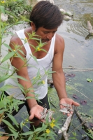 Martes 16 de mayo del 2017. Suchiapa, Chiapas. Habitantes de la comunidad Pacú del municipio de Suchiapa intentan limpiar los peces muertos que contaminan la región por las descargas de aguas residuales al rio que atraviesa esta comunidad de la depresión 