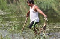 Martes 16 de mayo del 2017. Suchiapa, Chiapas. Habitantes de la comunidad Pacú del municipio de Suchiapa intentan limpiar los peces muertos que contaminan la región por las descargas de aguas residuales al rio que atraviesa esta comunidad de la depresión Martes 16 de mayo del 2017. Suchiapa, Chiapas. Habitantes de la comunidad Pacú del municipio de Suchiapa intentan limpiar los peces muertos que contaminan la región por las descargas de aguas residuales al rio que atraviesa esta comunidad de la depresión