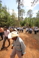 Indígenas de las comunidades de Teopisca en la zona altos de Chiapas, trabajan en la segunda etapa del manejo sustentable de sus bosques aprovechando la madera y reforestando los terrenos ejidales de esta comunidad. Después de 10 años de trabajos, los eji
