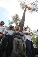 Indígenas de las comunidades de Teopisca en la zona altos de Chiapas, trabajan en la segunda etapa del manejo sustentable de sus bosques aprovechando la madera y reforestando los terrenos ejidales de esta comunidad. Después de 10 años de trabajos, los eji