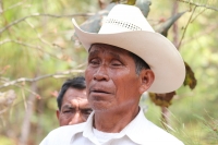 Indígenas de las comunidades de Teopisca en la zona altos de Chiapas, trabajan en la segunda etapa del manejo sustentable de sus bosques aprovechando la madera y reforestando los terrenos ejidales de esta comunidad. Después de 10 años de trabajos, los eji