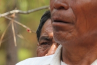 Indígenas de las comunidades de Teopisca en la zona altos de Chiapas, trabajan en la segunda etapa del manejo sustentable de sus bosques aprovechando la madera y reforestando los terrenos ejidales de esta comunidad. Después de 10 años de trabajos, los eji