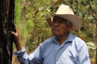 Indígenas de las comunidades de Teopisca en la zona altos de Chiapas, trabajan en la segunda etapa del manejo sustentable de sus bosques aprovechando la madera y reforestando los terrenos ejidales de esta comunidad. Después de 10 años de trabajos, los eji