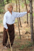 Indígenas de las comunidades de Teopisca en la zona altos de Chiapas, trabajan en la segunda etapa del manejo sustentable de sus bosques aprovechando la madera y reforestando los terrenos ejidales de esta comunidad. Después de 10 años de trabajos, los eji