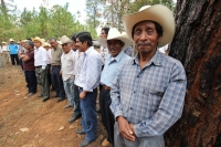 Indígenas de las comunidades de Teopisca en la zona altos de Chiapas, trabajan en la segunda etapa del manejo sustentable de sus bosques aprovechando la madera y reforestando los terrenos ejidales de esta comunidad. Después de 10 años de trabajos, los eji