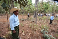 Indígenas de las comunidades de Teopisca en la zona altos de Chiapas, trabajan en la segunda etapa del manejo sustentable de sus bosques aprovechando la madera y reforestando los terrenos ejidales de esta comunidad. Después de 10 años de trabajos, los eji