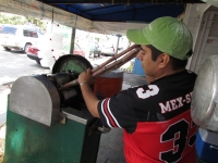 Viernes 4 de febrero. Los productores del ingenio San Francisco Pujiltic aprovechan los excedentes de la producción para elaborar bebidas nutritivas con la caña de azúcar, el cual es comercializado minoritariamente en las avenidas y calles de las principa
