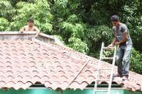 Martes 26 de junio del 2012. Tuxtla Gutiérrez, Chiapas. El interés de las redes sociales ha despertado la simpatía por un grupo de 12 ponis que fueron reubicados del Centro de Convivencia Infantil de la ciudad de Tuxtla Gutiérrez al parque Joyo Mayu donde