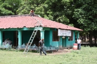 Martes 26 de junio del 2012. Tuxtla Gutiérrez, Chiapas. El interés de las redes sociales ha despertado la simpatía por un grupo de 12 ponis que fueron reubicados del Centro de Convivencia Infantil de la ciudad de Tuxtla Gutiérrez al parque Joyo Mayu donde
