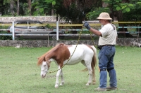 Miércoles 4 de julio del 2012. Tuxtla Gutiérrez, Chiapas. Los ponis de convivencia Infantil reciben la ayuda ciudadana de personas interesadas en la sobrevivencia de los animales que ahora se encuentran en el parque Joyo Mayu.