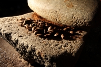 Jueves 23 de enero del 2014. Tuxtla Gutiérrez. Este medio día es reabierto el Museo del Café en la vieja casona de la ciudad donde se presenta una interesante muestra de la historia de Chiapas a través de los granos de la aromática bebida.