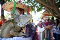 20210531. El Calalá en Suchiapa.  Día de La Topada del Calalá: los diferentes grupos de danzantes se encuentran para acompañar el recorrido ritual hacia la Ermita de esta comunidad